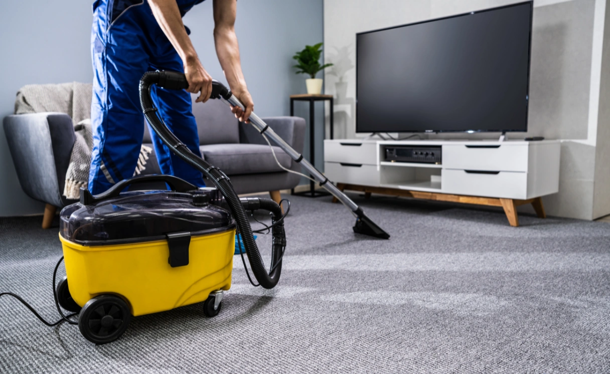 Extract Upholstery Cleaning Bittern Contact Office